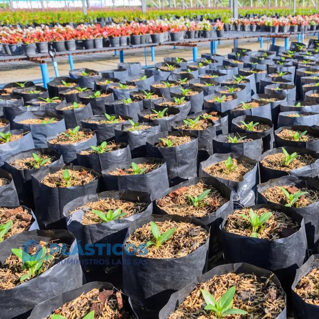 bolsas de plastico para plantas Bolsa Semillero – Plasticos Y Suministros La 15