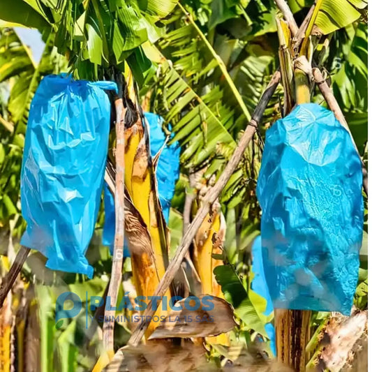 Bolsa Para Platano